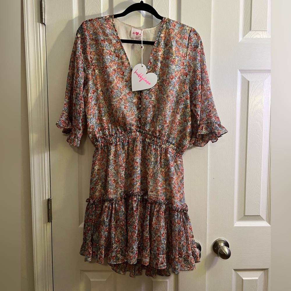 NWT BuddyLove Floral Mini Dress